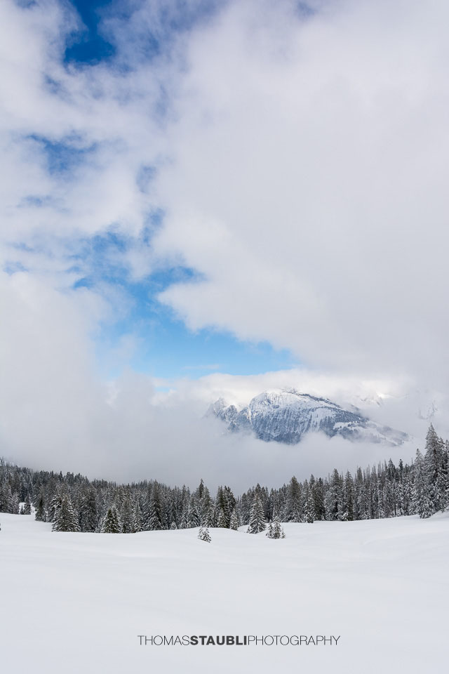 Blick von der Salzläcki