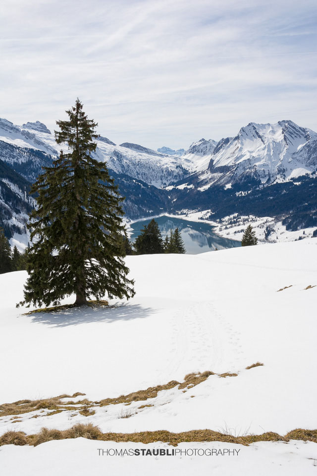 Blick auf den Wägitalersee