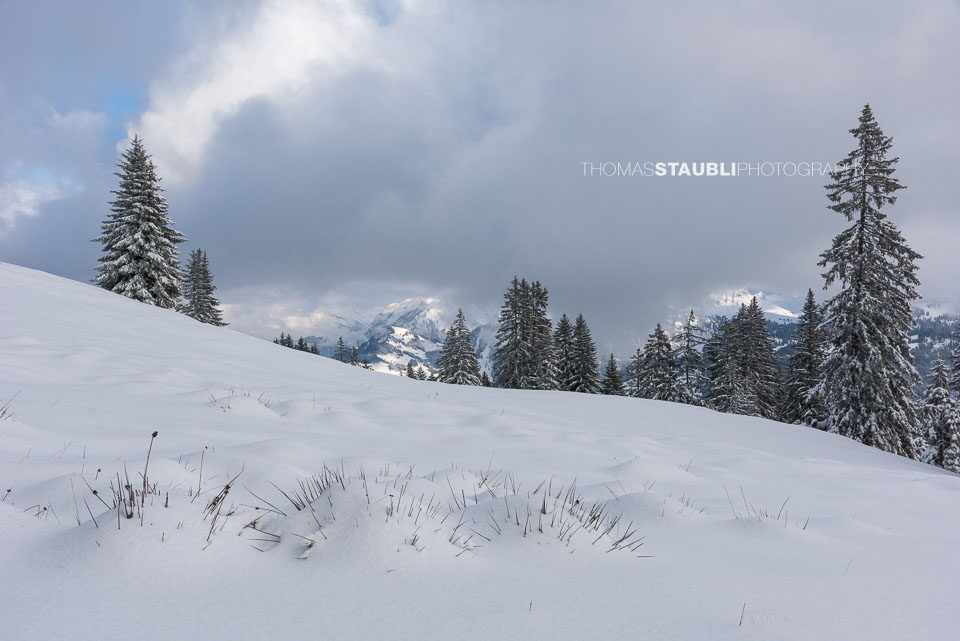 Wolken und Sonne am Furggelenstock