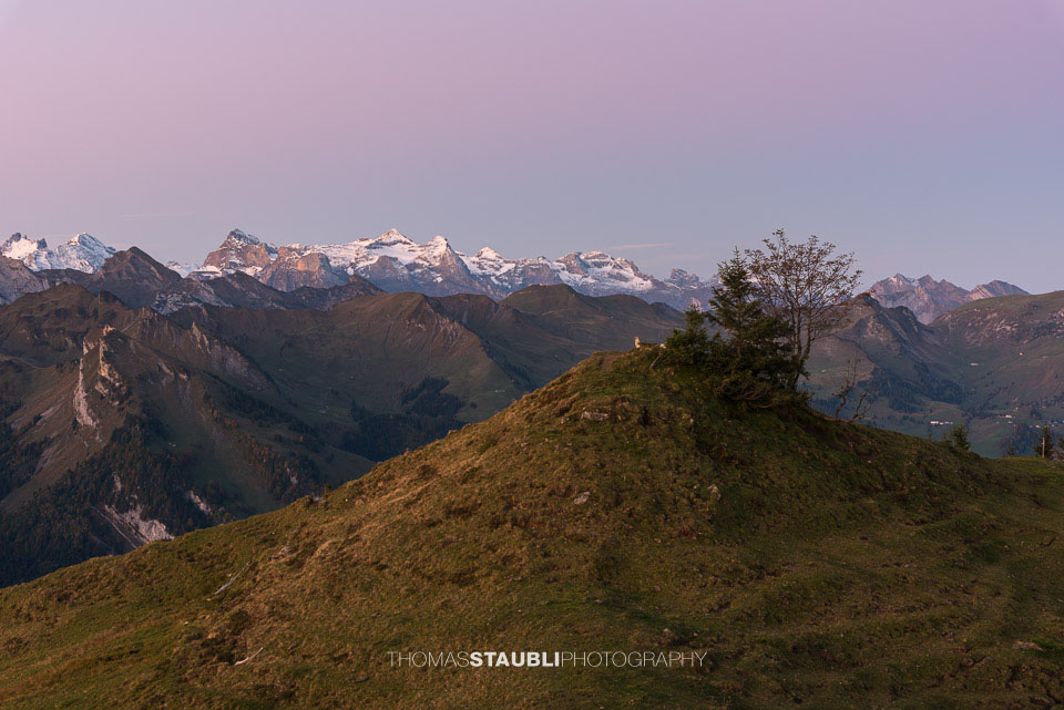 Morgenstimmung über den Urner Alpen