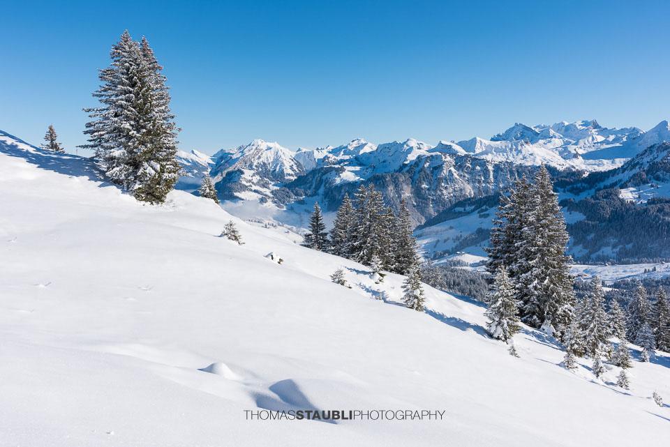 Blick zu den verschneiten Glarner Alpen