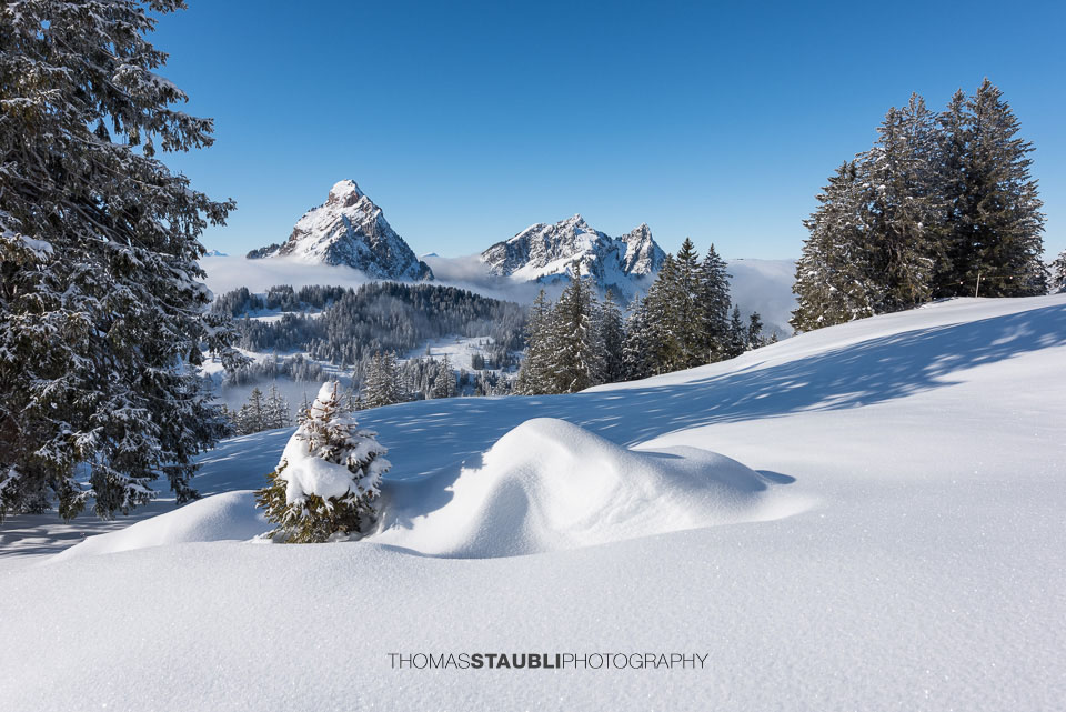 Blick Richtung Mythen und Haggenspitz