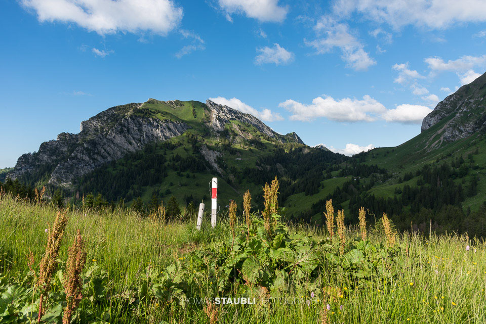 auf der Schwarenegghöchi mit Blick zum Chöpfenberg