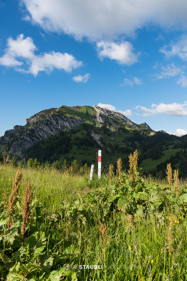 auf der Schwarenegghöchi mit Blick zum Chöpfenberg
