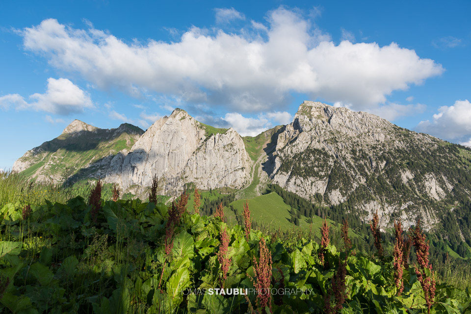 Wolkenband über dem Bockmattlistock und dem Schiberg