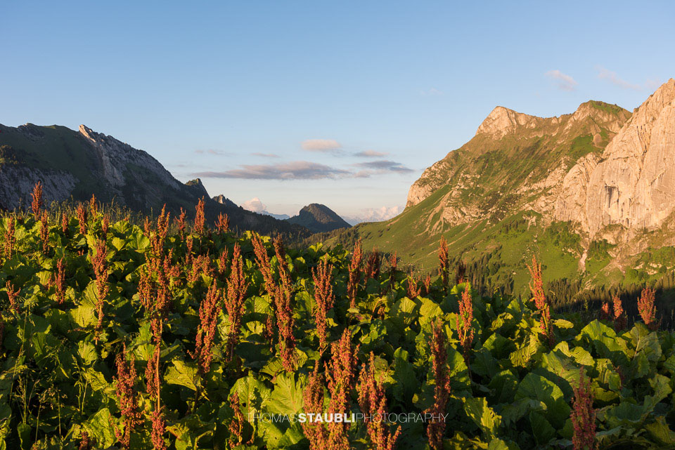 Abendstimmung auf dem Brüschstockbügel