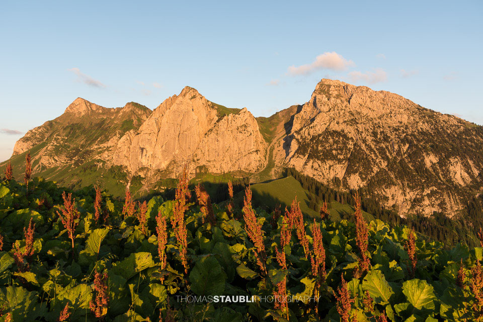 Bockmattlistock und Schiberg im Abendlicht