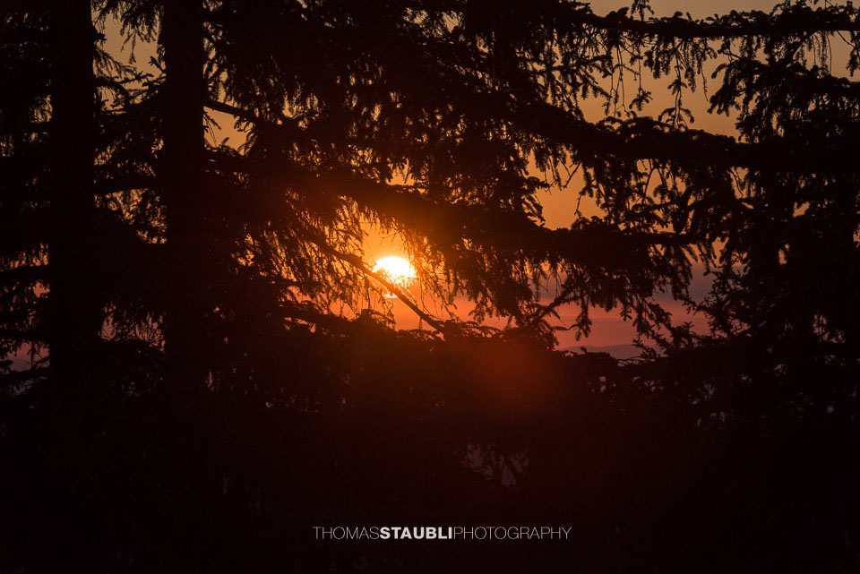 Sonnenuntergang auf dem Brüschstockbügel im Wägital