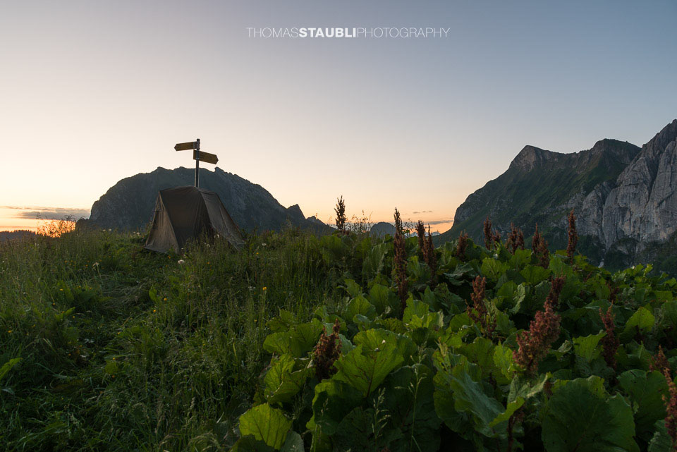Morgendämmerung auf dem Brüschstockbügel