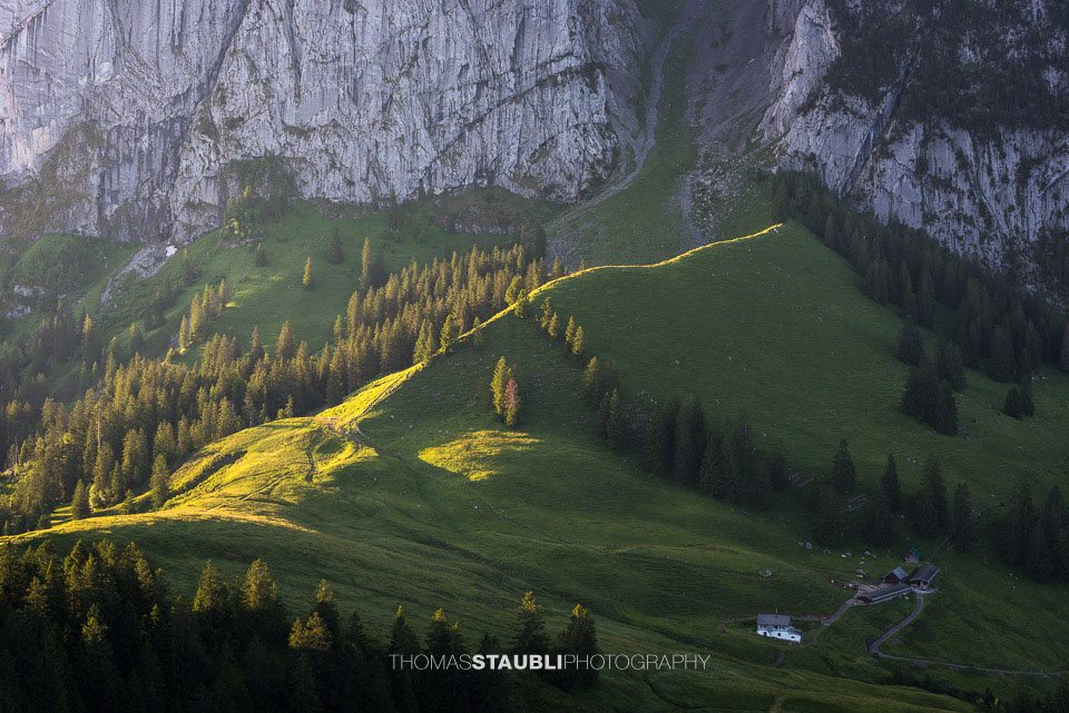 Blick vom Brüschstockbügel Richtung Schwarzenegghöchi