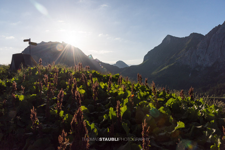 Sonnenaufgang auf dem Brüschstockbügel