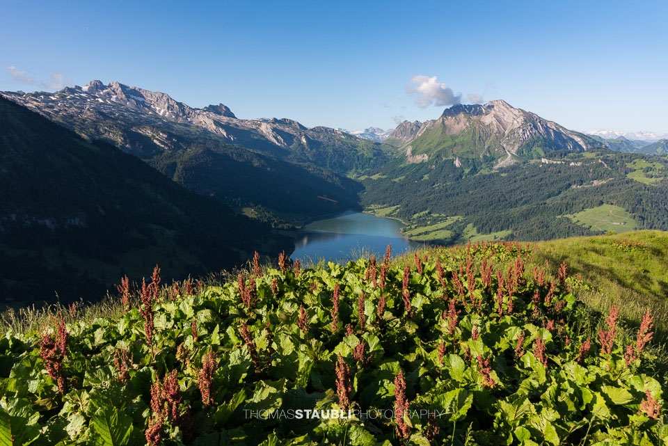 Blick vom Brüschstockbügel Richtung Wäitalersee und Diethelm