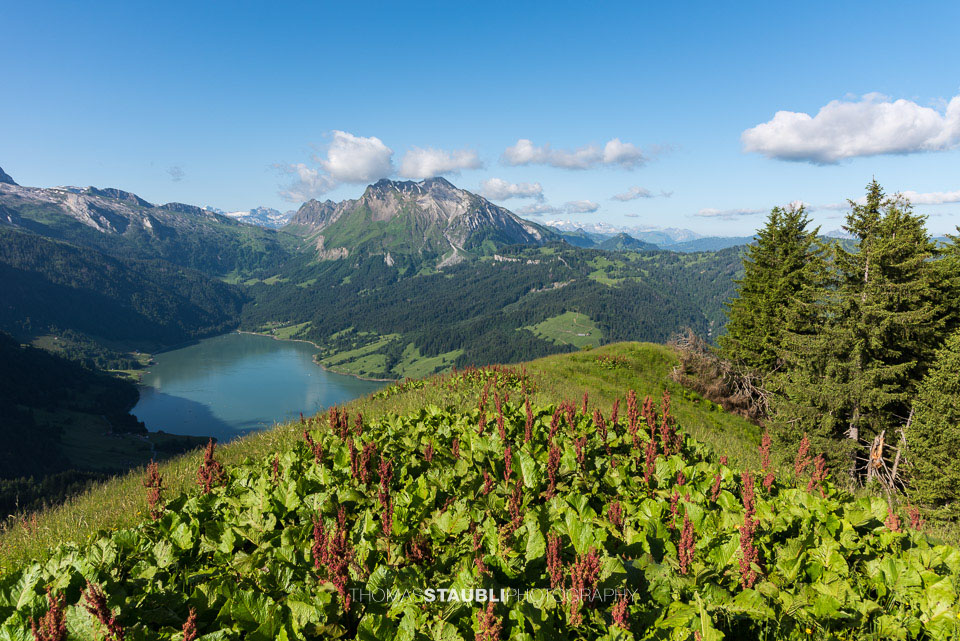 Blick vom Brüschstockbügel Richtung Wäitalersee und Diethelm