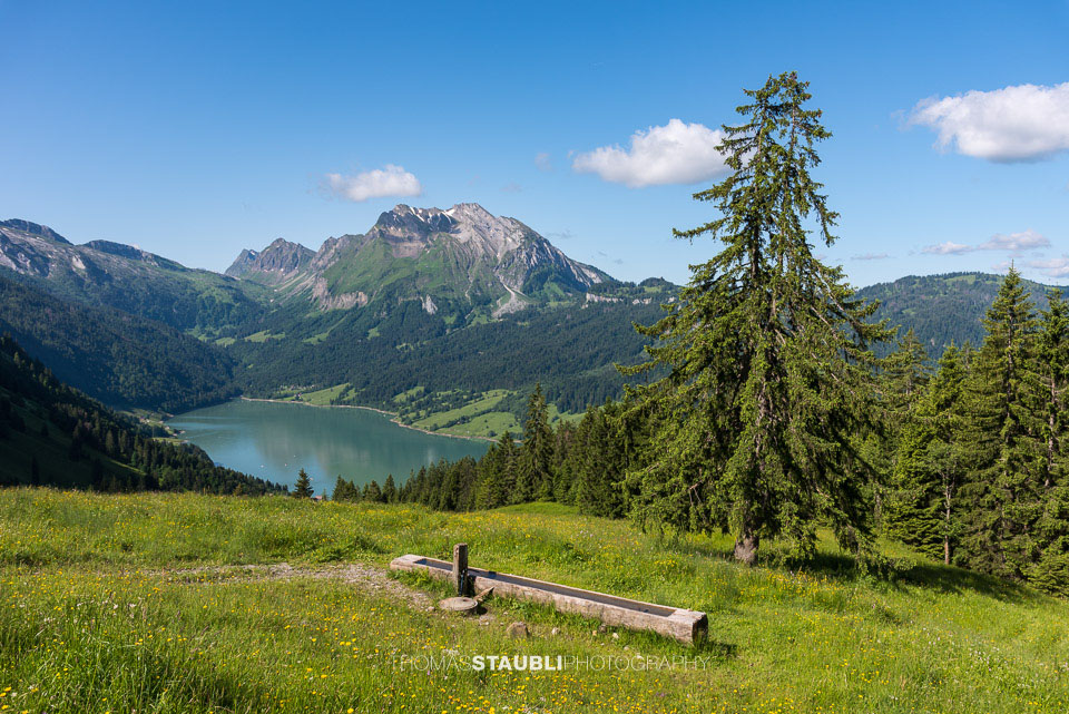 Blick hinunter zum Wägitalersee, im Hintergrund der Diethelm