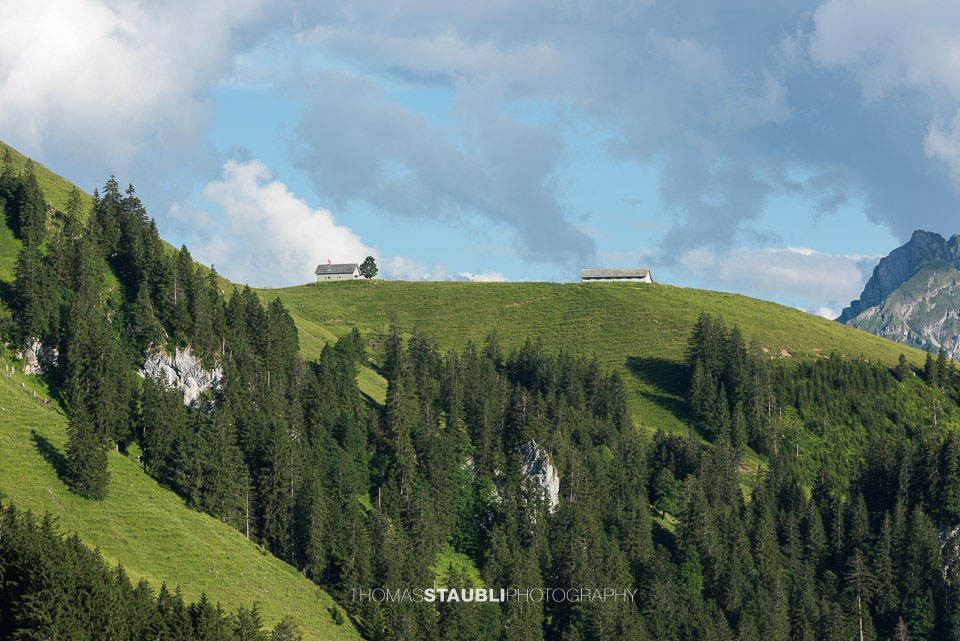 Blick zur Alp Wildegg mit der Alpwirtschaft Wildegg