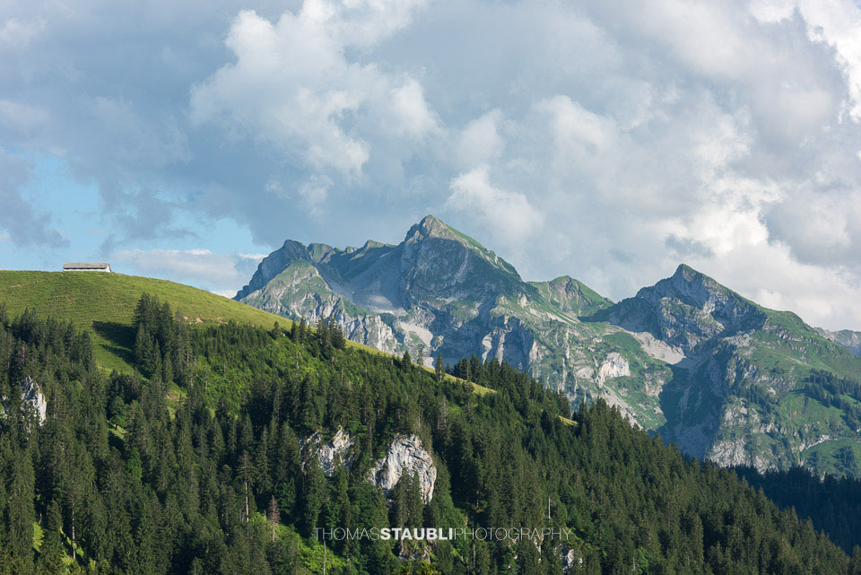 Blick zum Wyss Rössli, Diethelm und Wöndlispitz