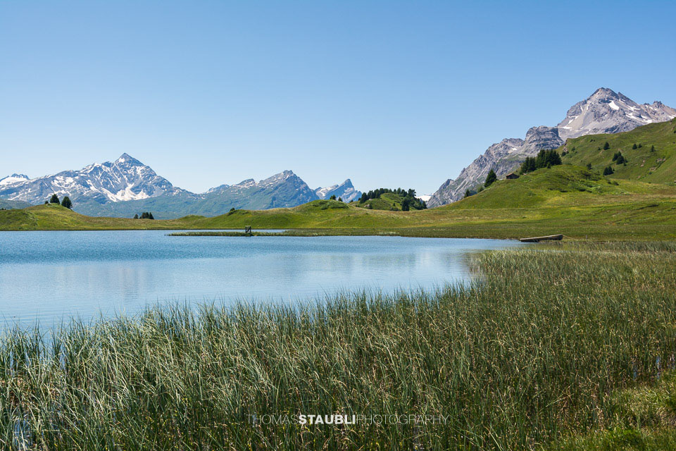 Bergsommer am Lai da Vons
