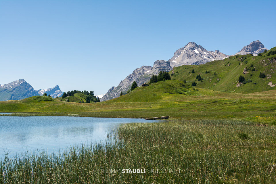 Bergsommer am Lai da Vons