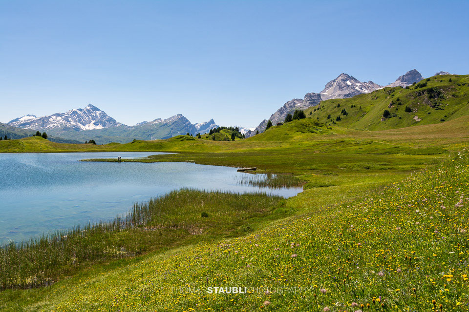 Bergsommer am Lai da Vons