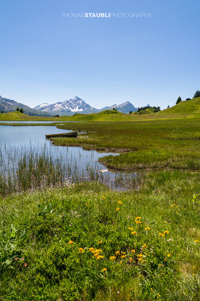 Bergsommer am Lai da Vons