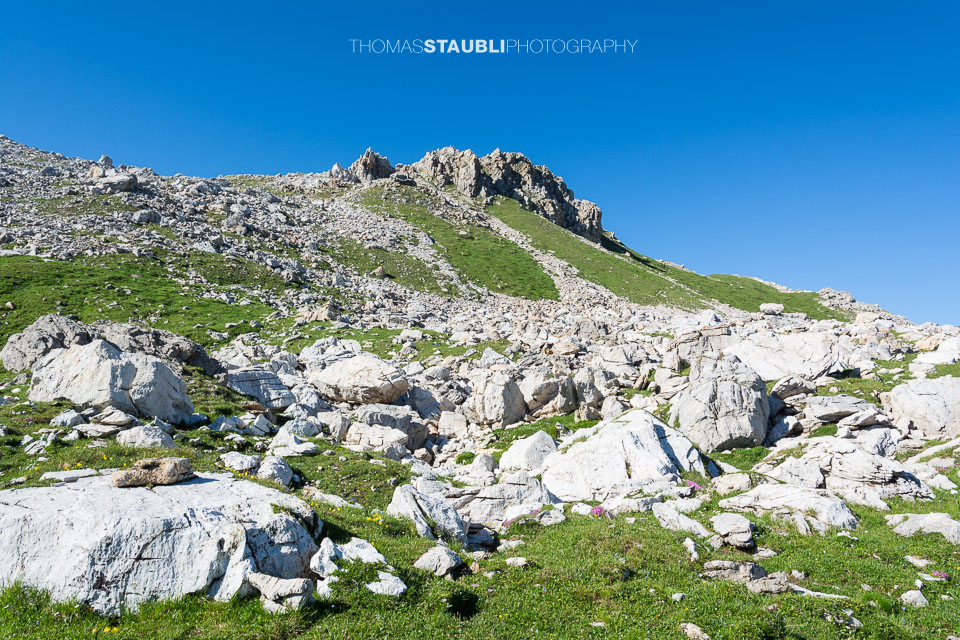 Blick zum Piz Calandari