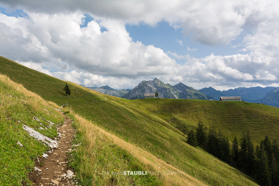Weg zur Alp-Wirtschaft Wildegg