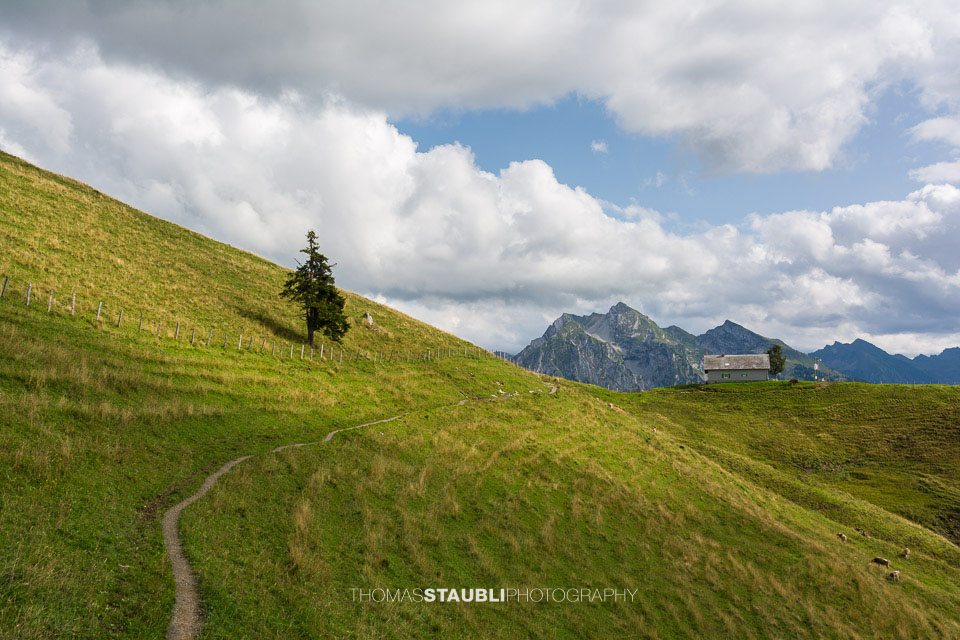Weg zur Alp-Wirtschaft Wildegg