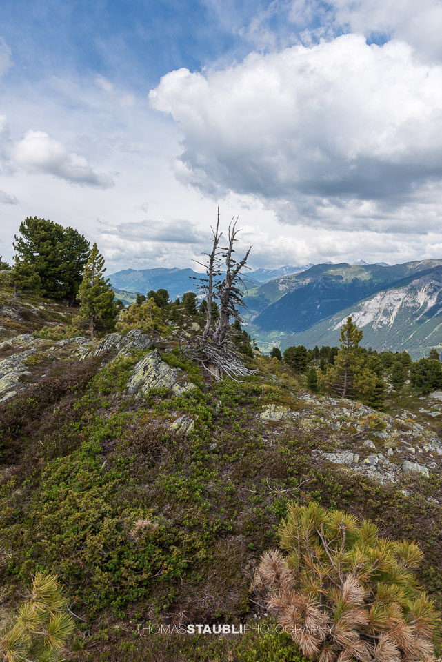 Wolkenhimmel über dem Val Schon