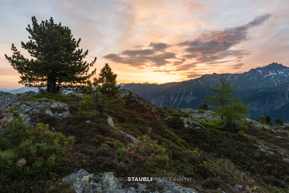 Sonnenaufgang über dem Val Schons