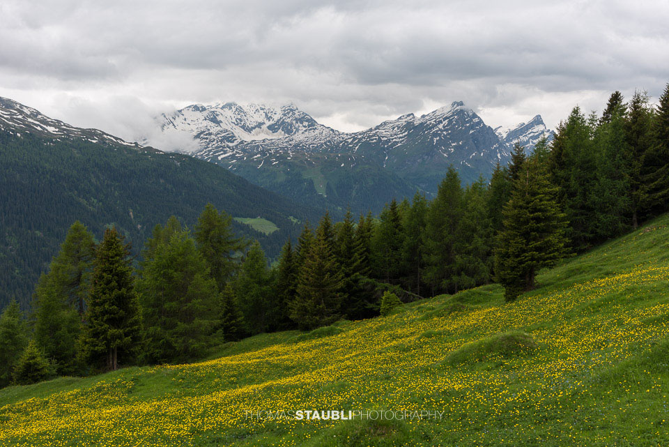 bewökter Himmel über dem Pizzo Tambo, Guggernüll und Einshorn