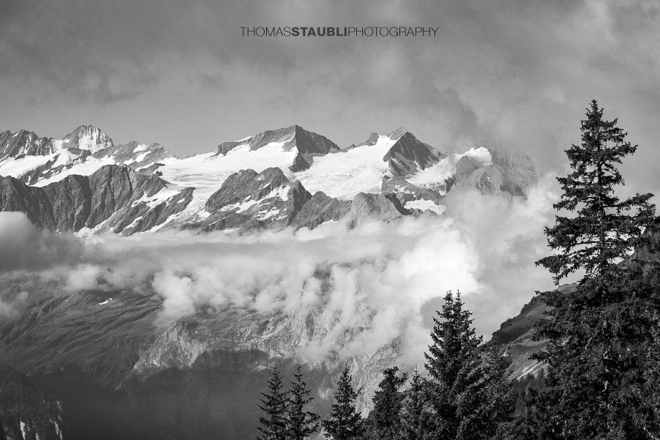 Blick zum Schreckhorn, Bärglistock, Rosenhorn und Mittelhorn