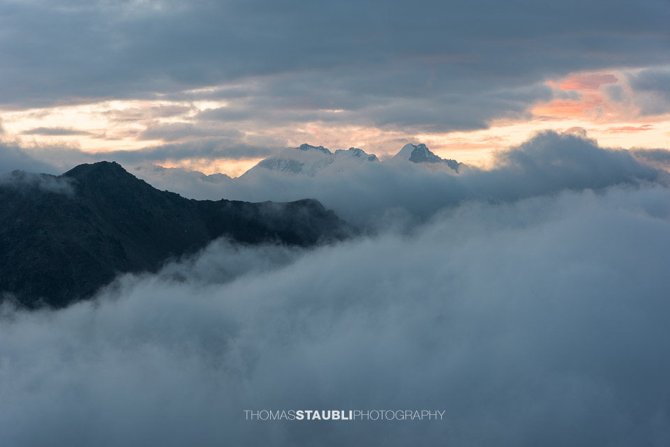 Morgenrot über dem Piz Roseg