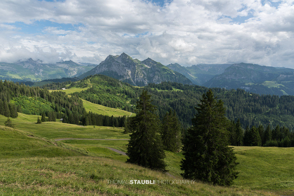 Blick von der Alp Wildegg