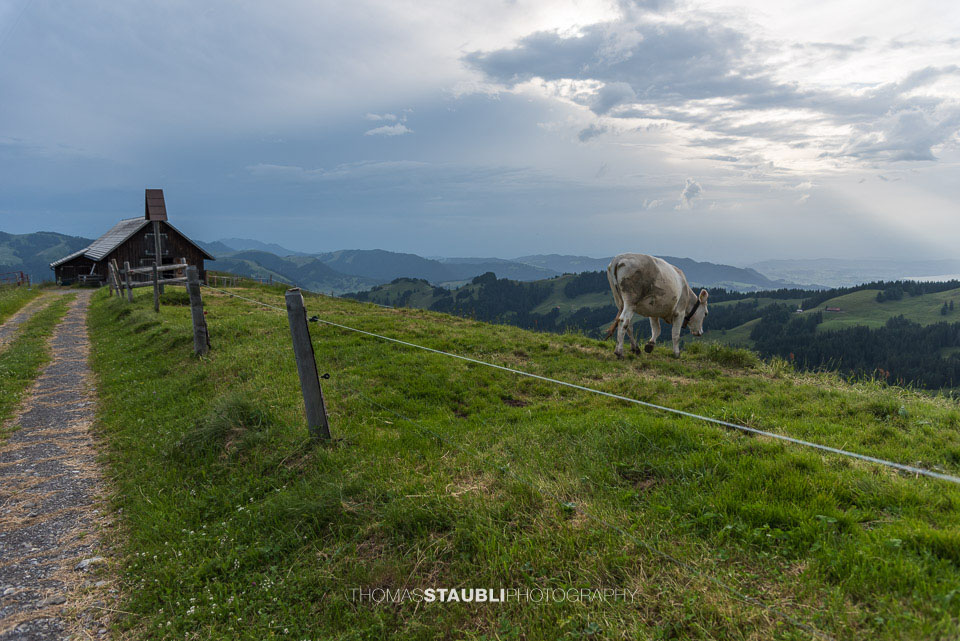 Gewitterstimmung auf der Alp Wildegg