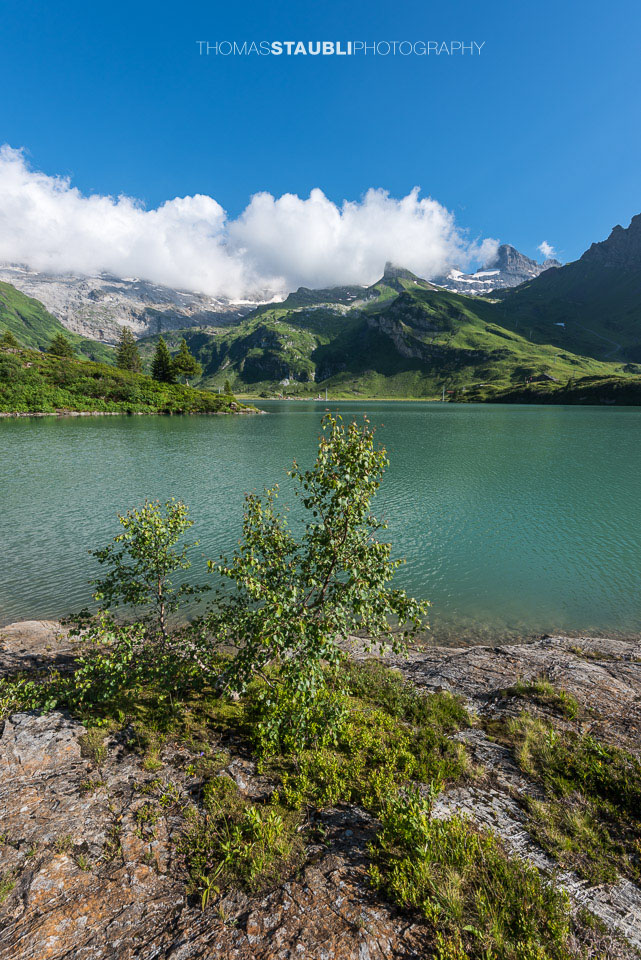 Blick über den Trübsee zum Gross Wendenstock