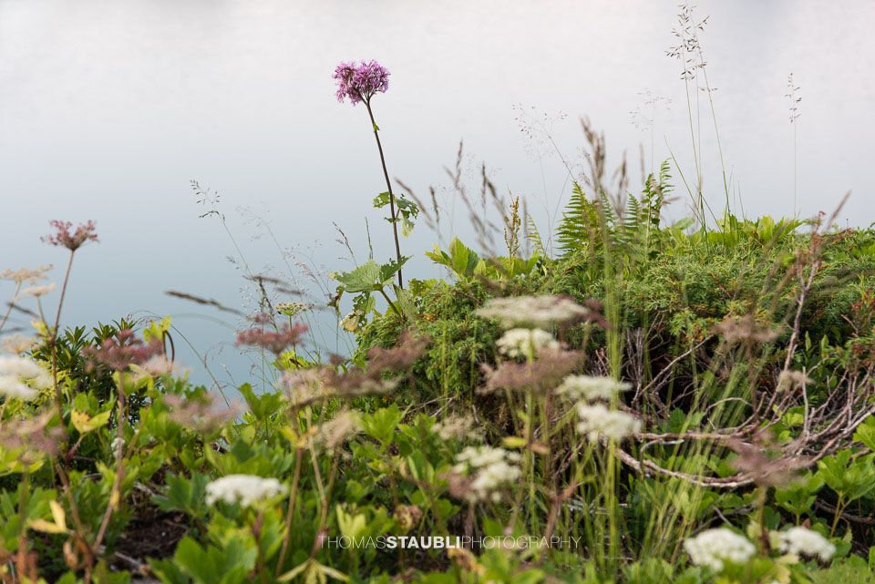 Abenddämmerung am Trübsee