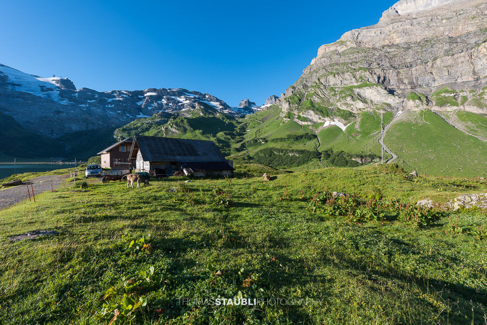 Morgenstimmung am Trübsee