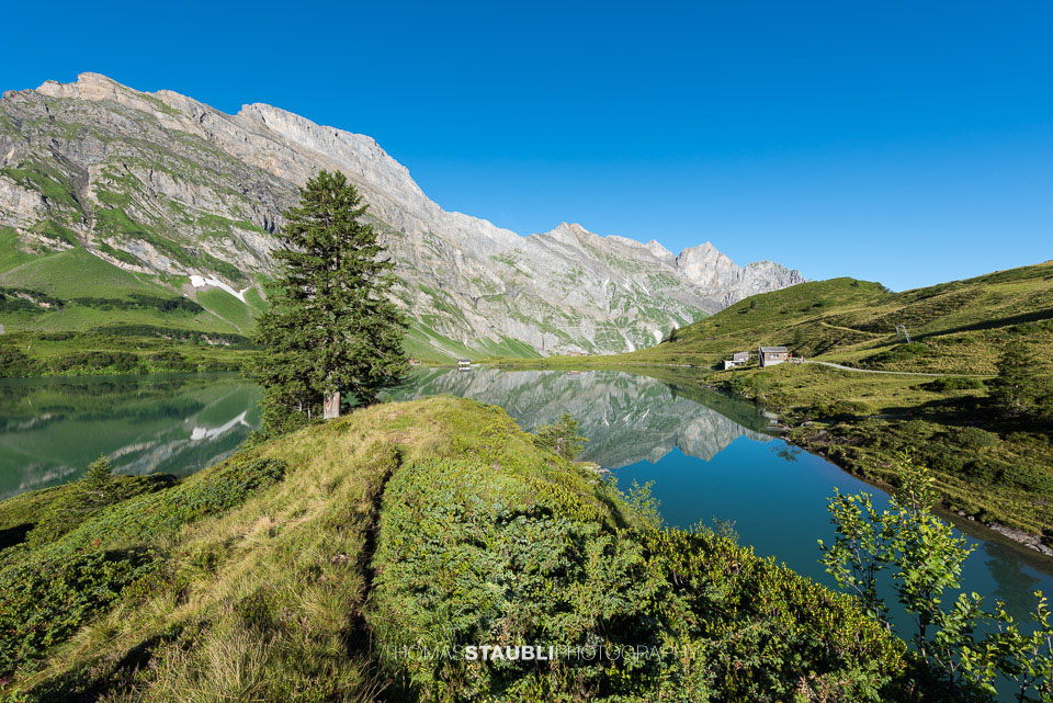Morgenstimmung am Trübsee