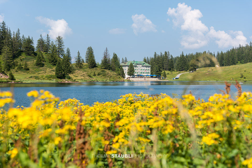 Sommer am Grosssee