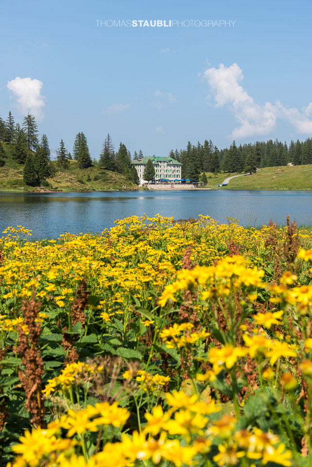 Sommer am Grosssee