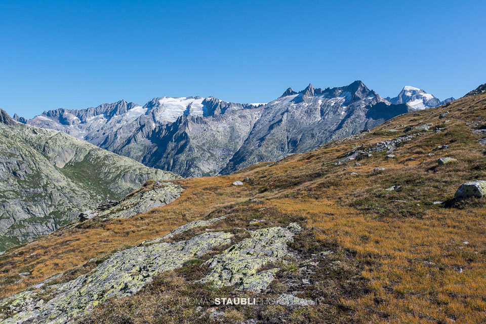 Diechtergletscher und Alpligletscher 2015