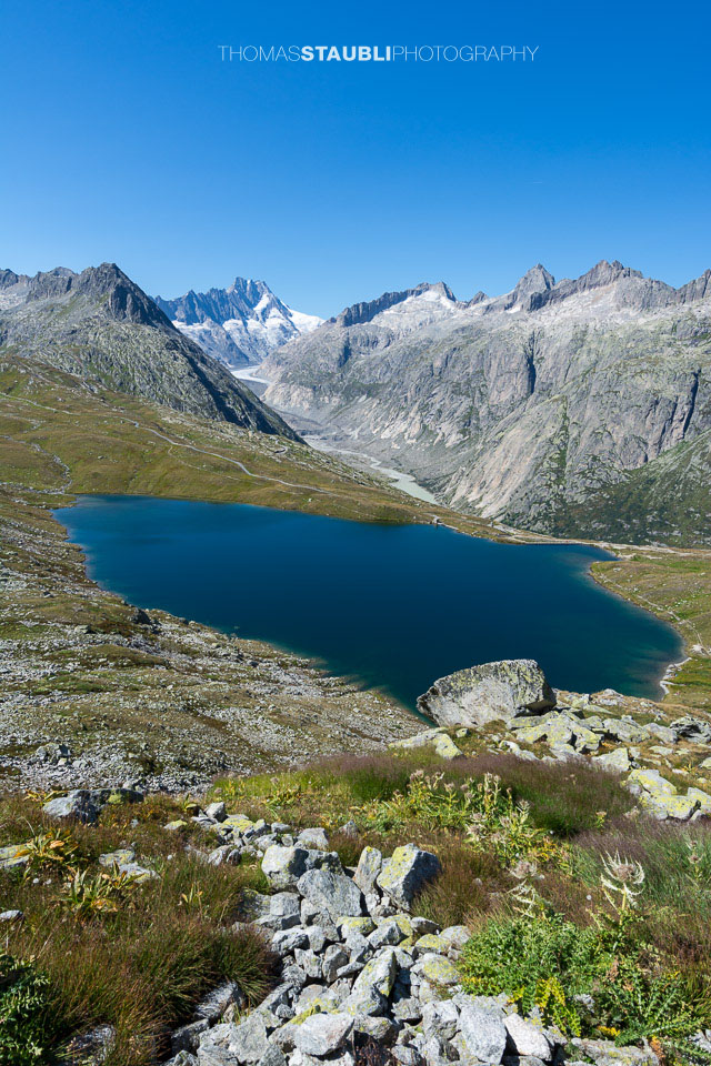 Trübtensee mit Lauteraarhorn im Hintergrund