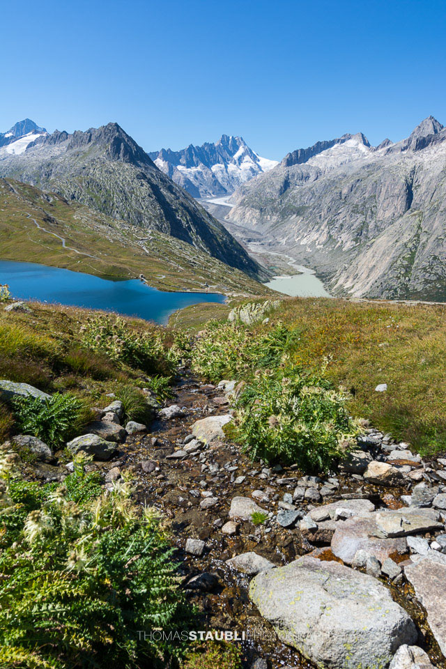 Trübtensee mit Lauteraarhorn im Hintergrund