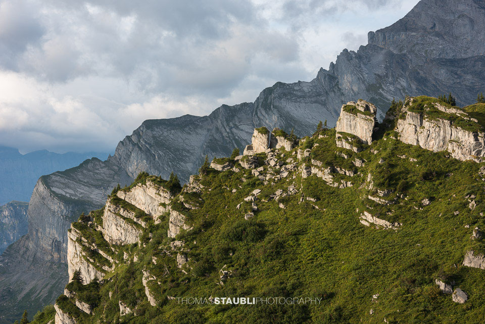 Impressionen vom Schattenstock