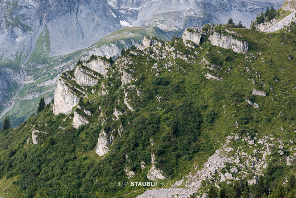 Impressionen vom Schattenstock