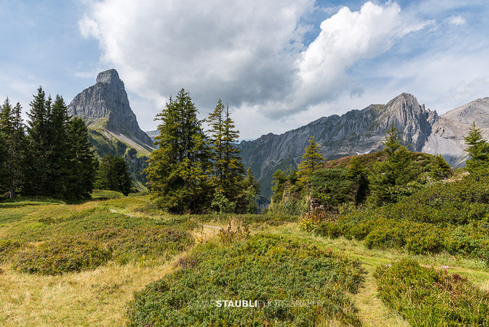 Blick vom Seeblengrat Richtung Eggstöcke und Bösbächistock