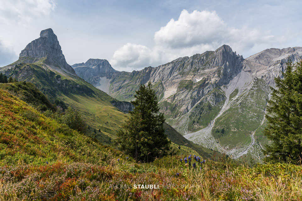 Blick vom Chnügrat Richtung Eggstöcke und Bösbächistock