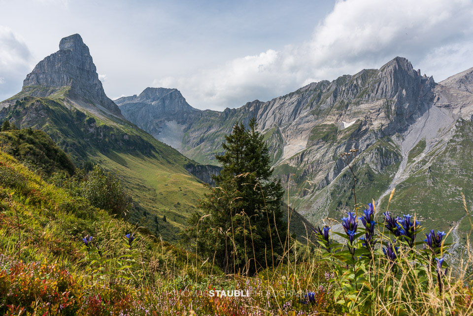 Blick vom Chnügrat Richtung Eggstöcke und Bösbächistock