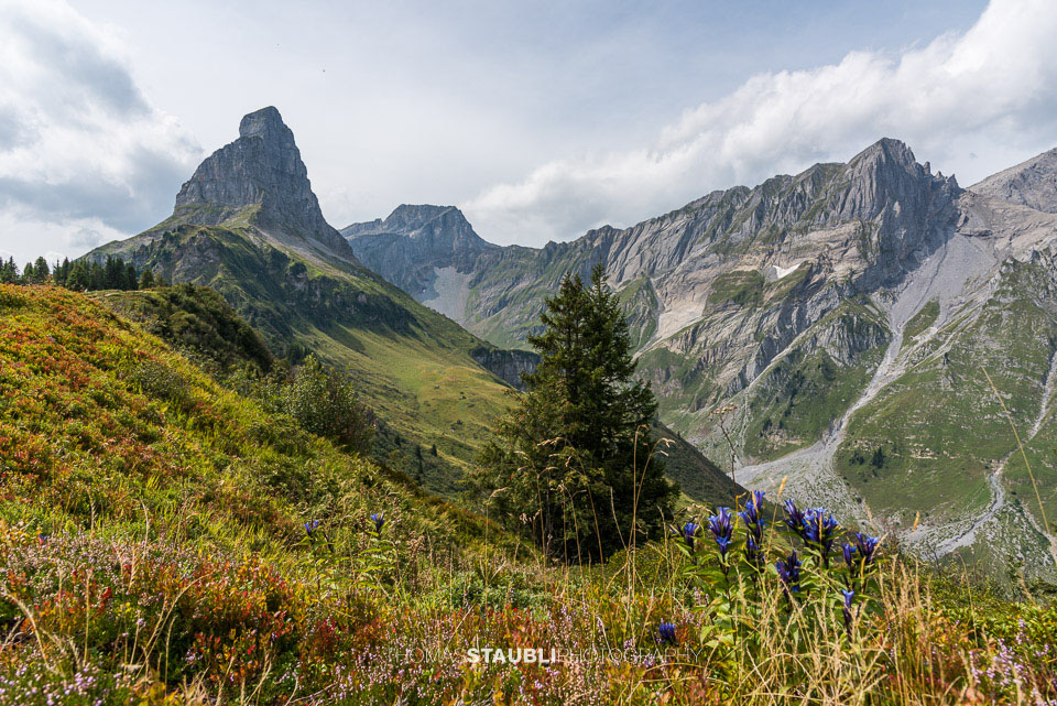 Blick vom Chnügrat Richtung Eggstöcke und Bösbächistock