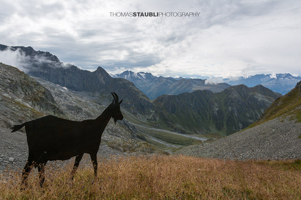 Blick von der Camona da Medel